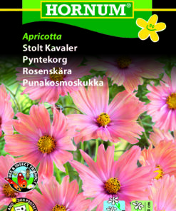 Stolt Kavaler “Apricotta” Abikosfarvede blomster – Blomsterfrø