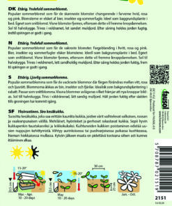 Stolt Kavaler “Cosimo Collarette” yndefulde blomster – Blomsterfrø