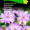 Stolt Kavaler “Cosimo Collarette” yndefulde blomster – Blomsterfrø
