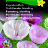 Stolt Kavaler “Cupcakes Blush” yndefulde usædvanlig variant – Blomsterfrø