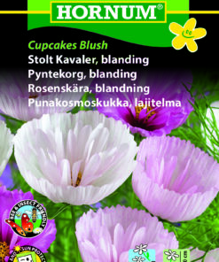 Stolt Kavaler “Cupcakes Blush” yndefulde usædvanlig variant – Blomsterfrø
