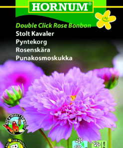 Stolt Kavaler “Double Click Rose Bonbon” – Fyldte blomsterhoveder – Blomsterfrø