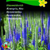 Ærenpris Aks – Blåviolette blomster på lang stilk – Blomsterfrø