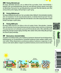 Ærenpris Aks – Blåviolette blomster på lang stilk – Blomsterfrø