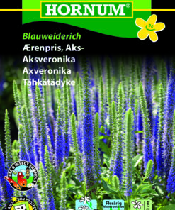 Ærenpris Aks – Blåviolette blomster på lang stilk – Blomsterfrø
