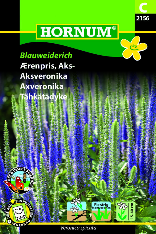Ærenpris Aks – Blåviolette blomster på lang stilk – Blomsterfrø