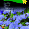 Blåkvast “Blue Mink” – Smuk Blå Blåkvast – Blomsterfrø