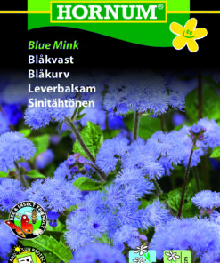 Blåkvast “Blue Mink” – Smuk Blå Blåkvast – Blomsterfrø