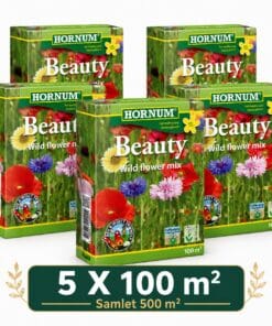 Blomstereng 500 m2 vilde blomster “Beauty” – Blomsterfrø