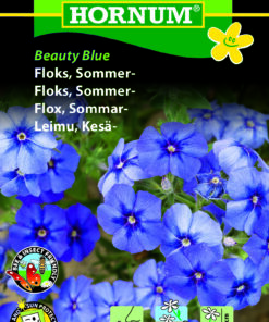 Floks blomsterfrø – Beauty Blue – Smukke blå og velduftende floks – Blomsterfrø
