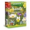 Blomsterblanding – Vilde blomster “Sandy” – Blomsterfrø til 50m2 på sandet og mager jord.