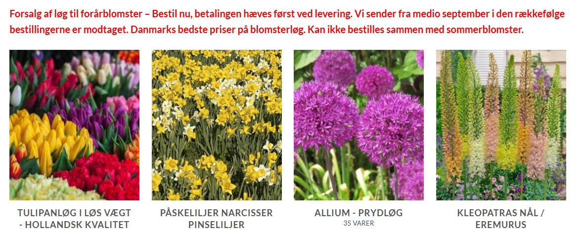 Forudbestilling af forårsblomster. Levering fremgår af hjemmesiden.