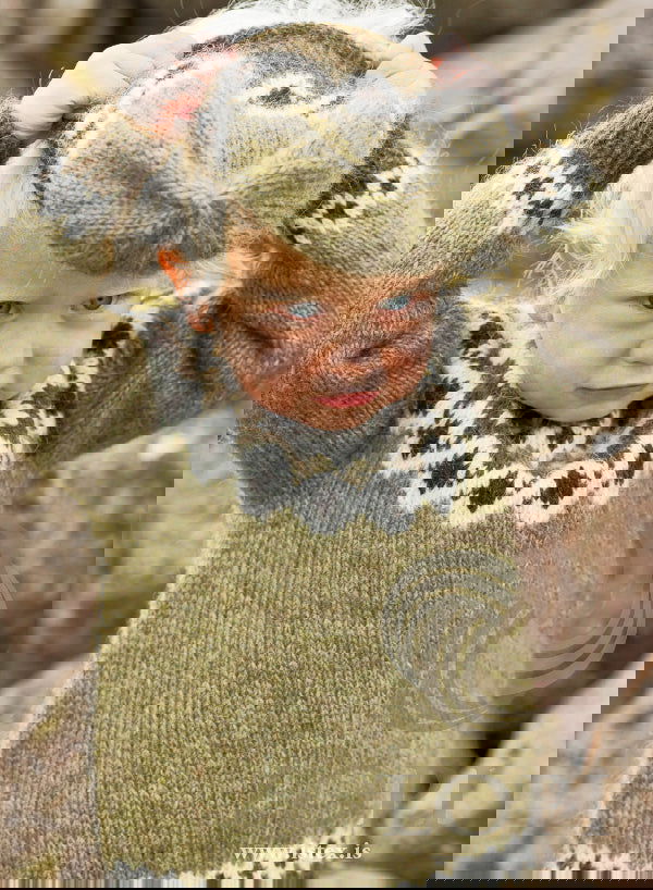 Strikkeopskrift – Islandsk Børnesweater og hue “Kambur” 28-15+16 (“Lettlopi”)