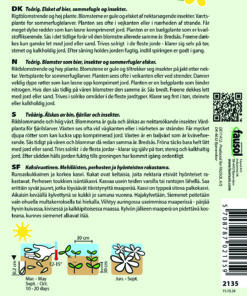 Markstenkløver blomsterfrø – Rigt blomsterende høj plante – Grøngødning