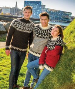 Strikkeopskrift – Sweater “Rensdyr” (Unisex) 36-05 Lettlopi (Sendes straks)