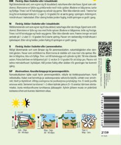 Akelaje “Nora barlow” – Flerårig og skøn i buketter og staudebed – Blomsterfrø