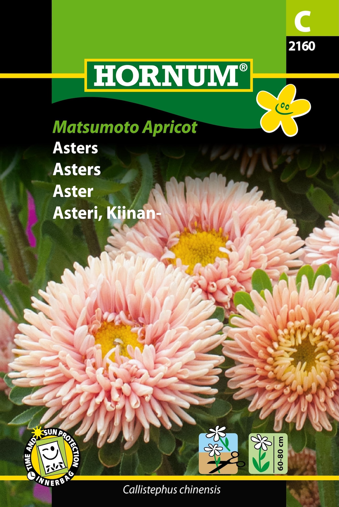 Asters “Matsumoto Apricot” – Abrikosfavede asters – Blomsterfrø