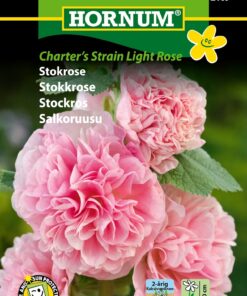 Stokrose – Charter’s Strain Light Rose – Lyserøde stokroser – Blomsterfrø