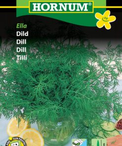 Dildfrø – “Ella” hurtigtvoksende og bladrig. Krydderurtefrø