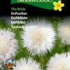Duftsultan “The Bride” – Duftende og rigt blomstrende – Blomsterfrø