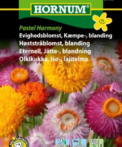 Evighedsblomst Kæmpe “Pastel Harmony”. – Blomsterfrø