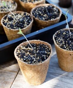 Fiberpotter til forspiring – Nebrydelige “Grow Sure”. Rund 6 cm. Pakke med 96 stk.