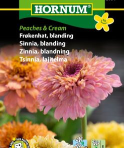 Frøkenhat – Peaches and Cream – blanding – Blomsterfrø