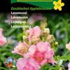Løvemund “Doubleshot Appleblos” – Romantisk og duftende – Blomsterfrø