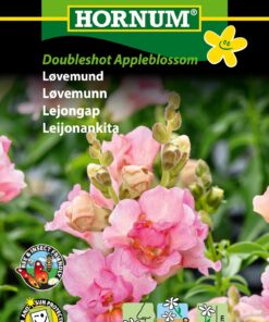 Løvemund “Doubleshot Appleblos” – Romantisk og duftende – Blomsterfrø