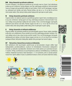 Løvemund “Doubleshot Appleblos” – Romantisk og duftende – Blomsterfrø