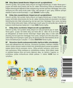 Ridderspore “Light Pink” – Blomsterfrø