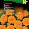 Tagetes “Orange Boy” – Flotte orange tagetes – Blomsterfrø
