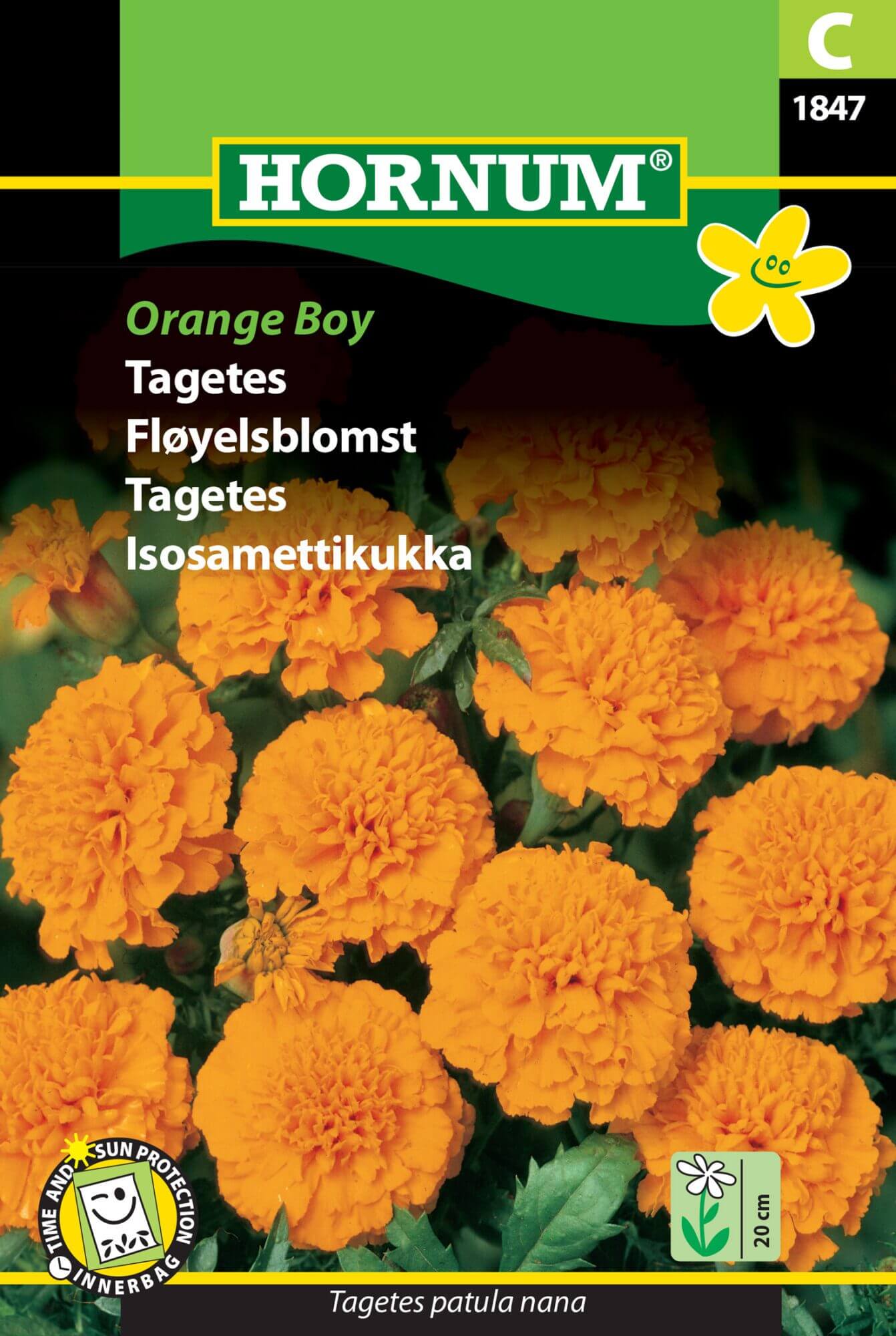 Tagetes “Orange Boy” – Flotte orange tagetes – Blomsterfrø