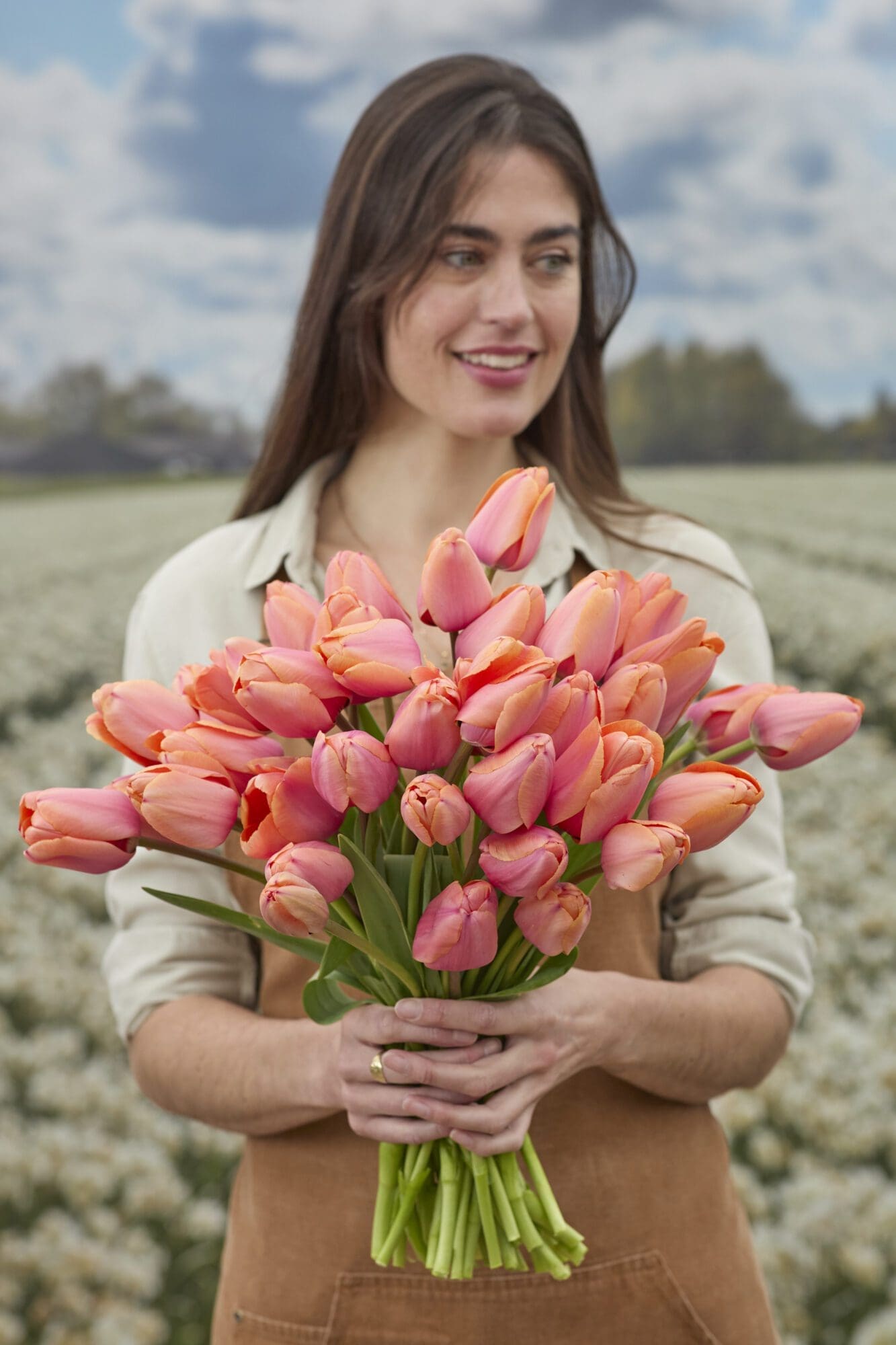 Smuk Darwin Hybrid Tulipan - Apricot Impression - Str. 12+