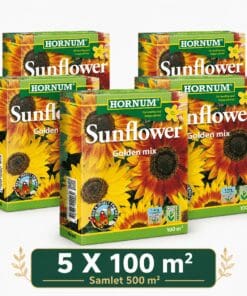 Solsikkefrø Golden Mix – pakketilbud til 500 m² | Smuk farverig solsikke-blanding.