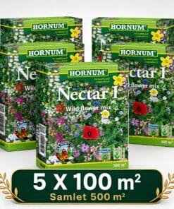 Blomsterblanding med vilde blomster “Nektar 1” – Blomsterfrø til 500m2