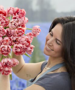 Tulipanløg ‘Etched Salmon’ (Double Early) – Str. 12+ | Laksefarvet fyldt tulipan | FRA 5,96 KR