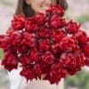 Tulipanløg ‘Red Princess’ (Double Late) – Str. 12+ | Rød sen dobbelttulipan | FRA 5,40 KR