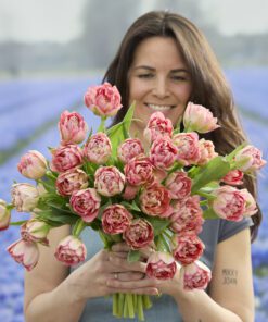 Tulipanløg ‘Quinty Trustfull’ (Double Early) – Str. 12+ | Eksklusiv rosa fyldt tulipan | FRA 5,96 KR