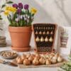 Klassisk løglasagne – 40 blomsterløg til én stor krukke | Pakketilbud