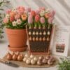 Eksklusiv Champagne & Blush-løglasagne – 30 store premium-blomsterløg til én krukke